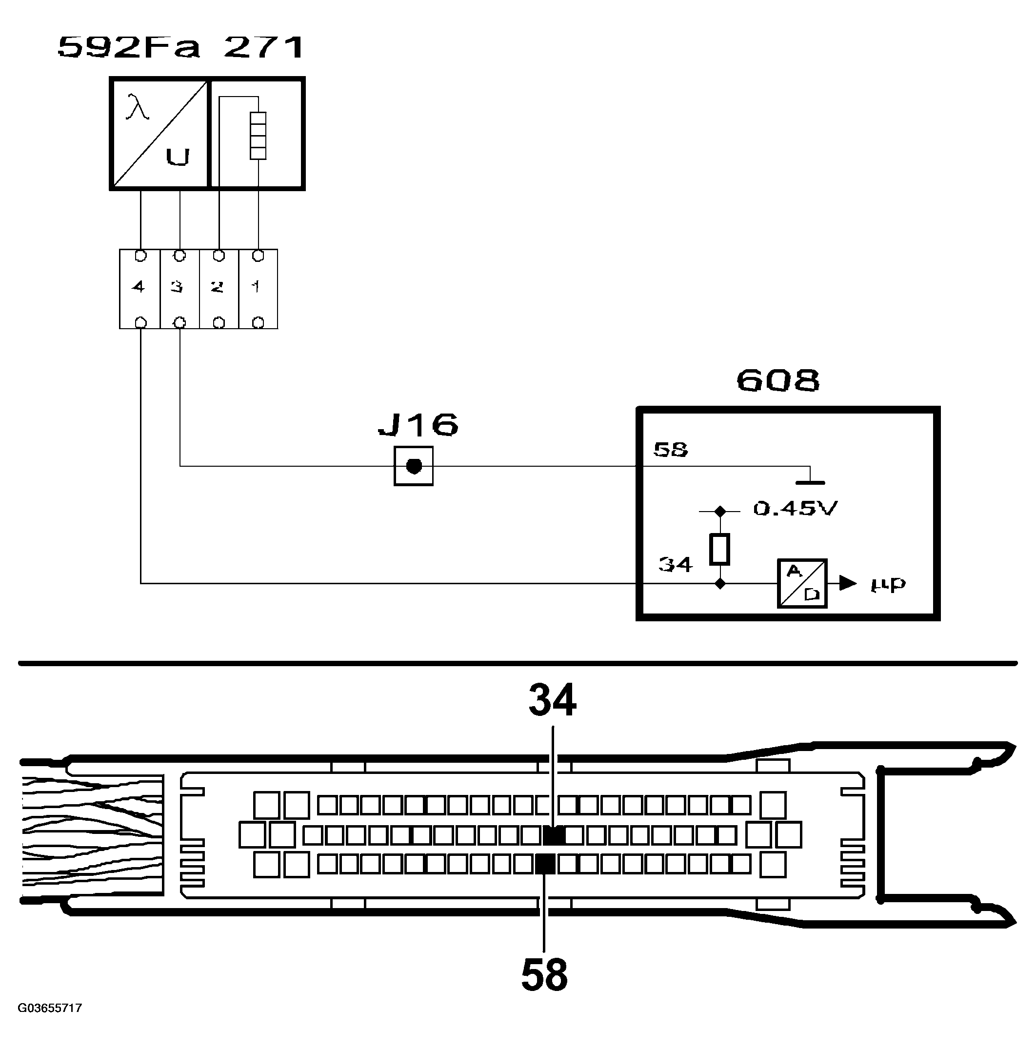 G03655717
