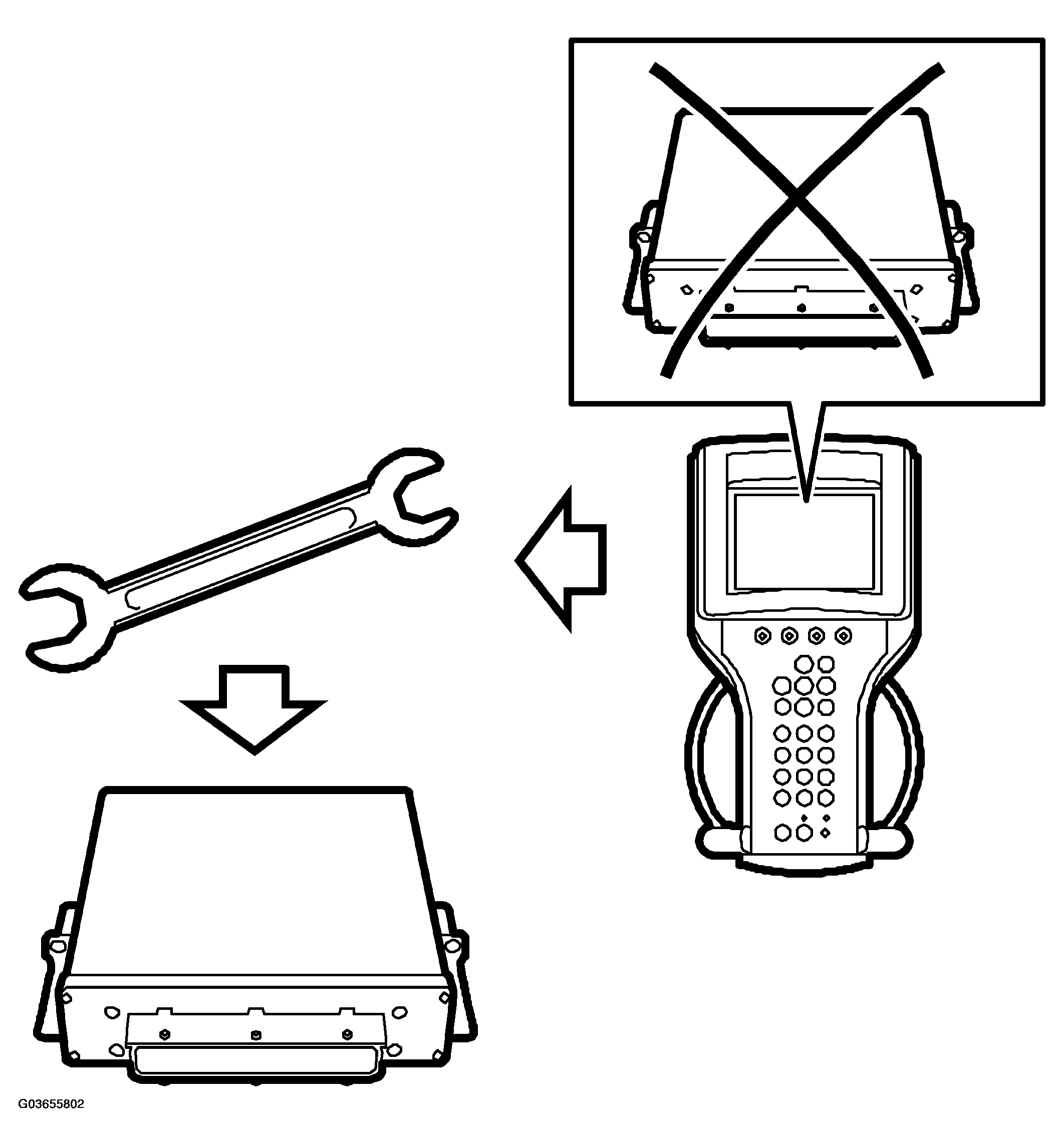 G03655802