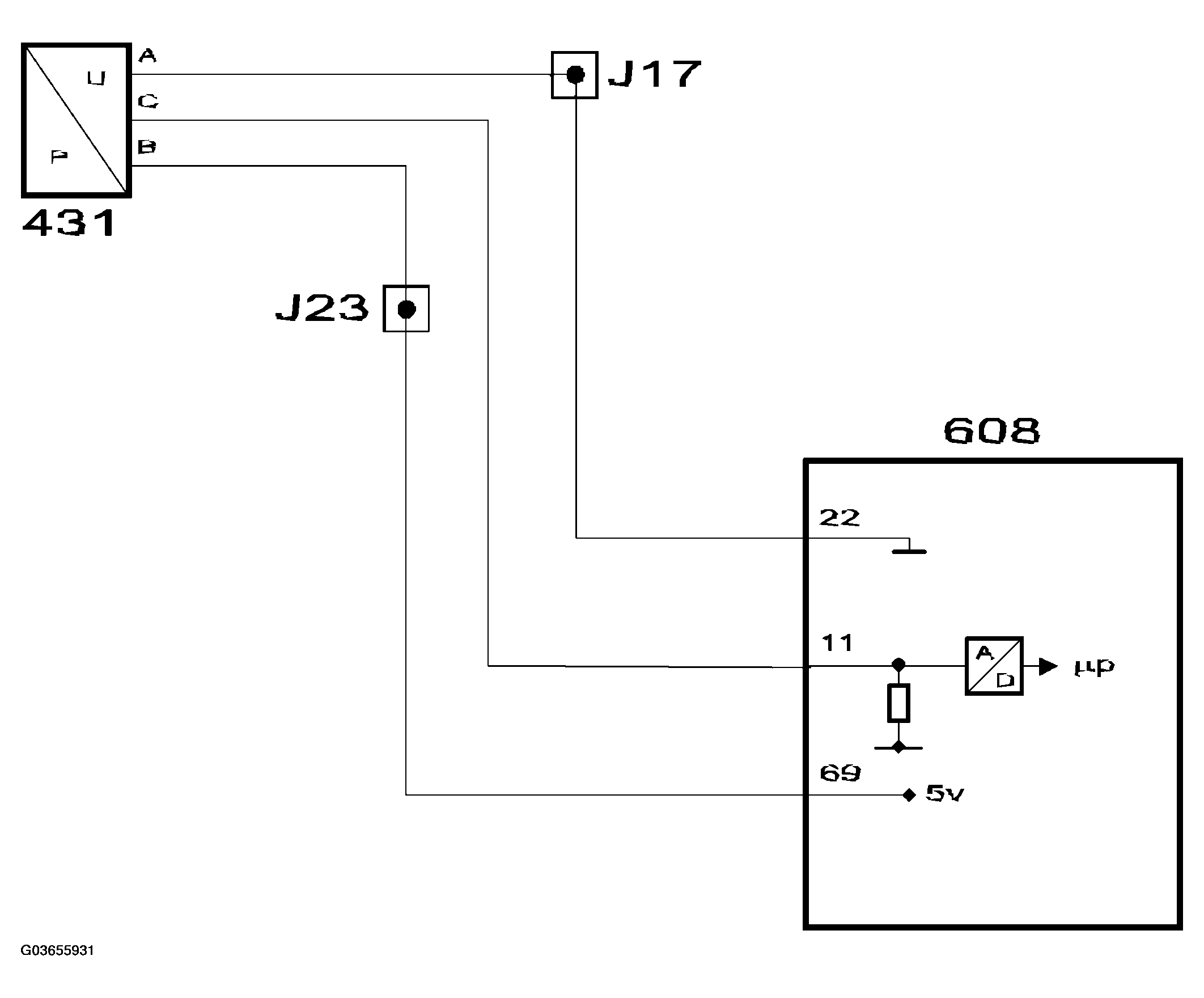 G03655931