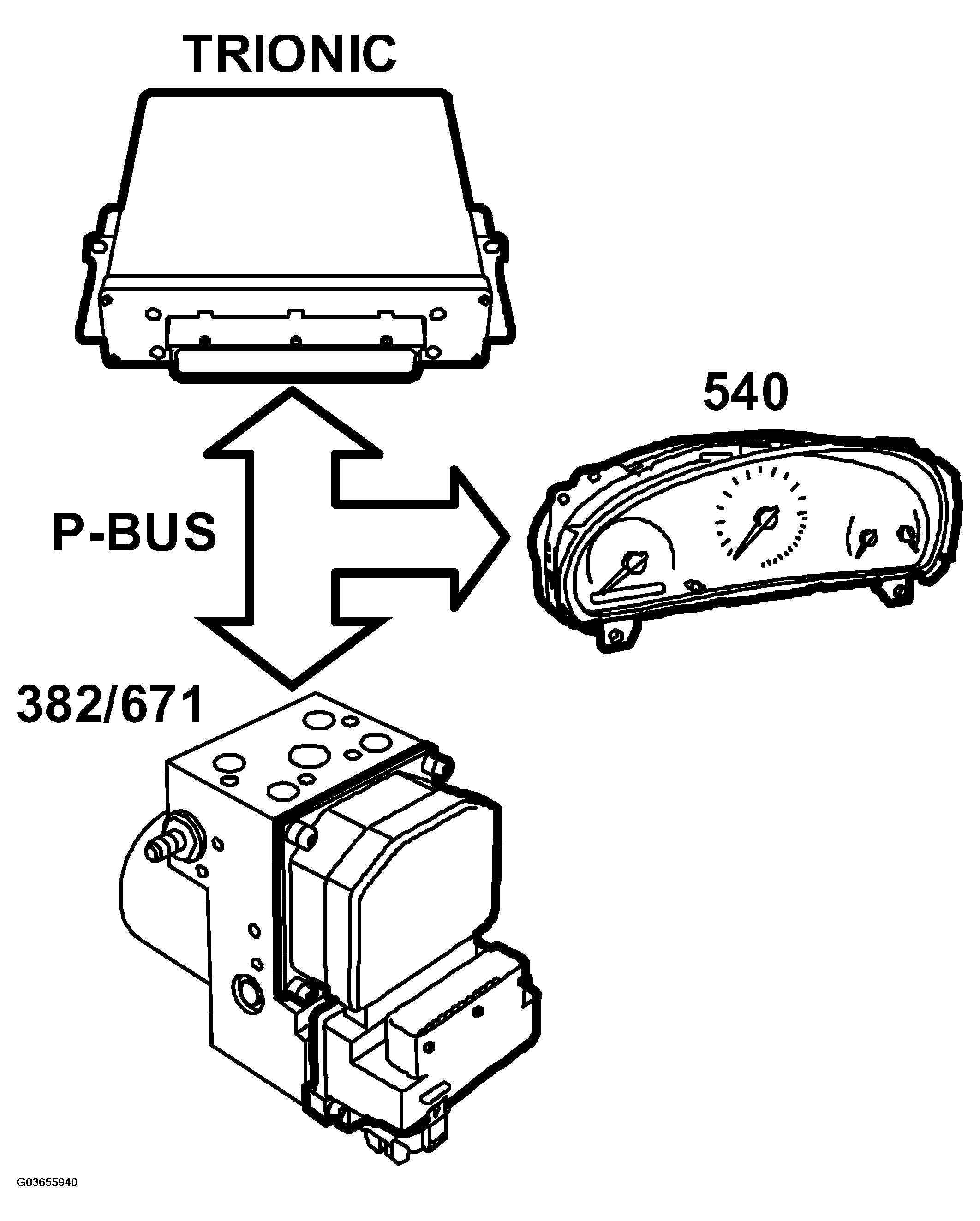 G03655940