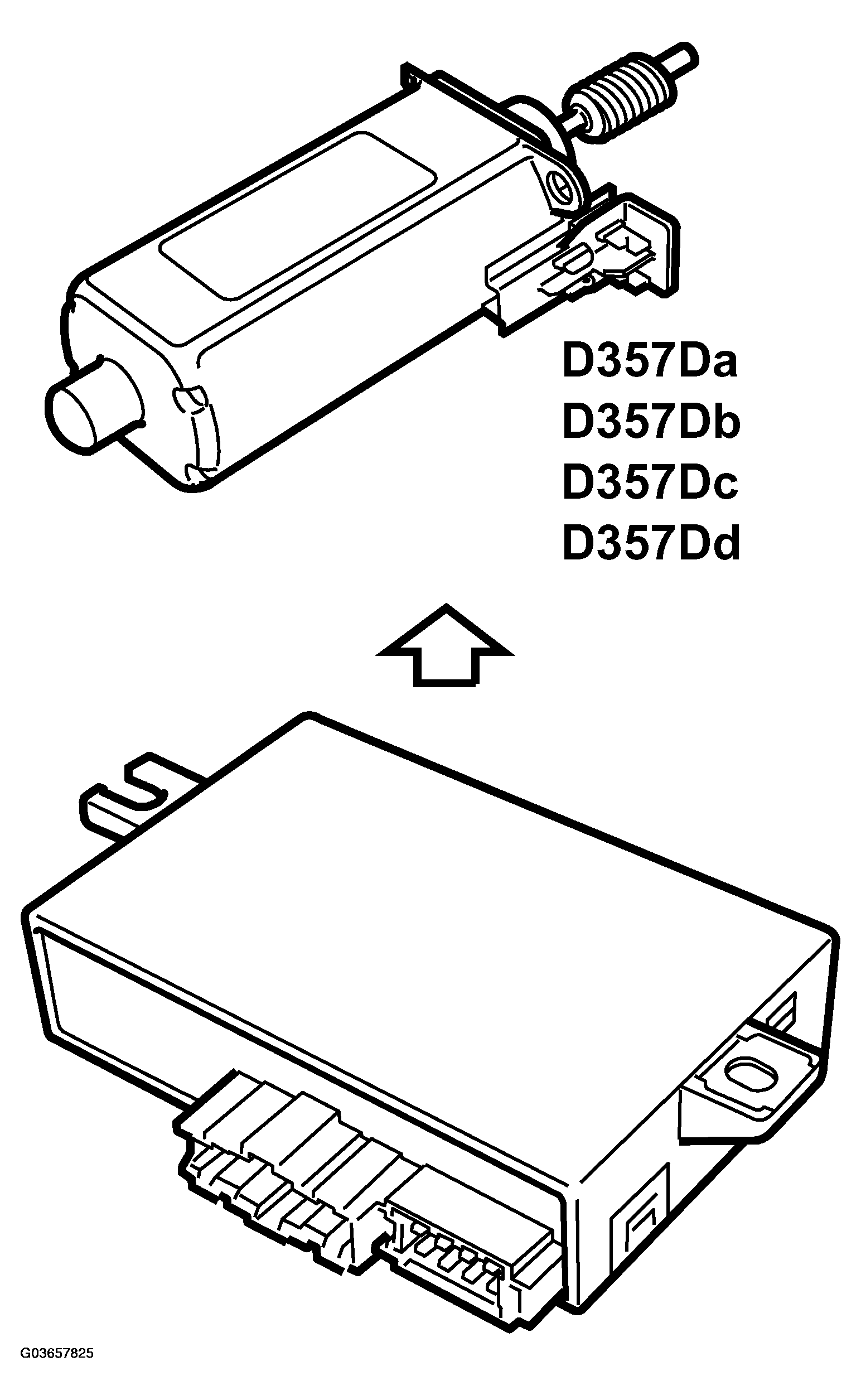 G03657825