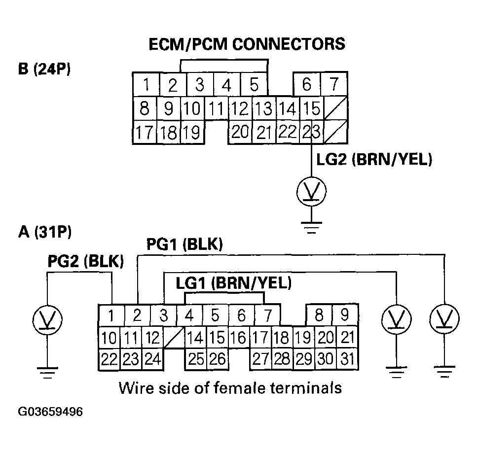 G03659496