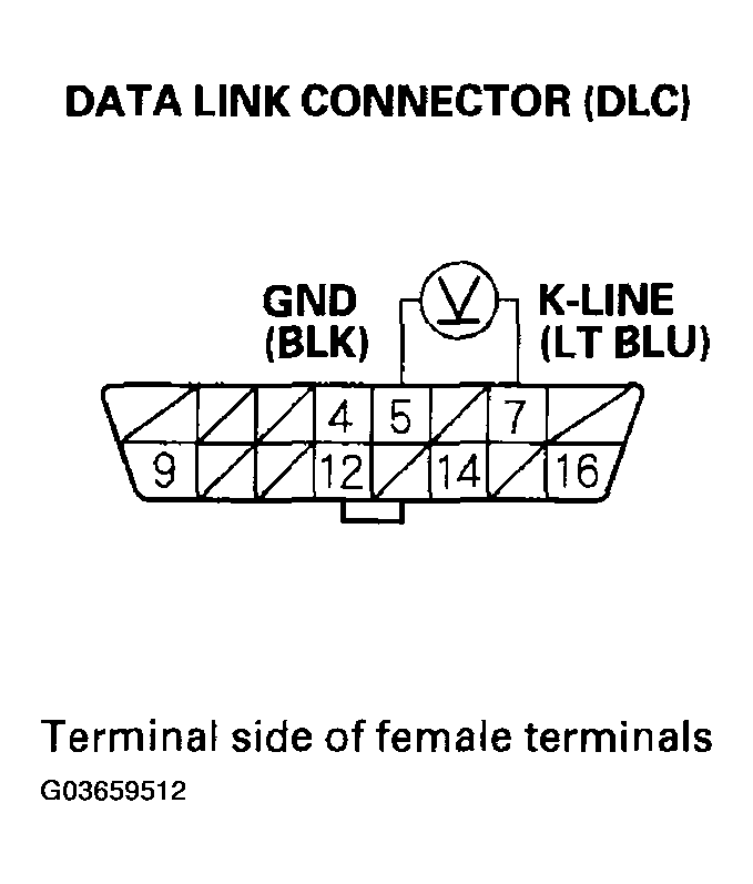 G03659512