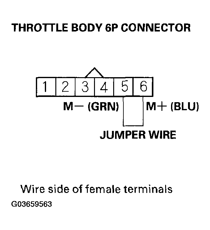 G03659563