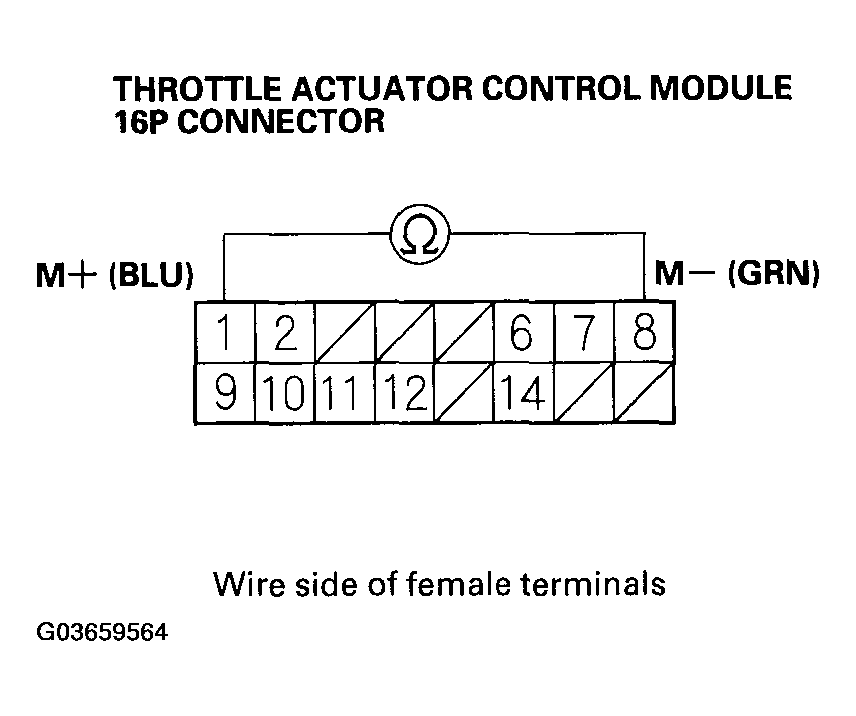 G03659564