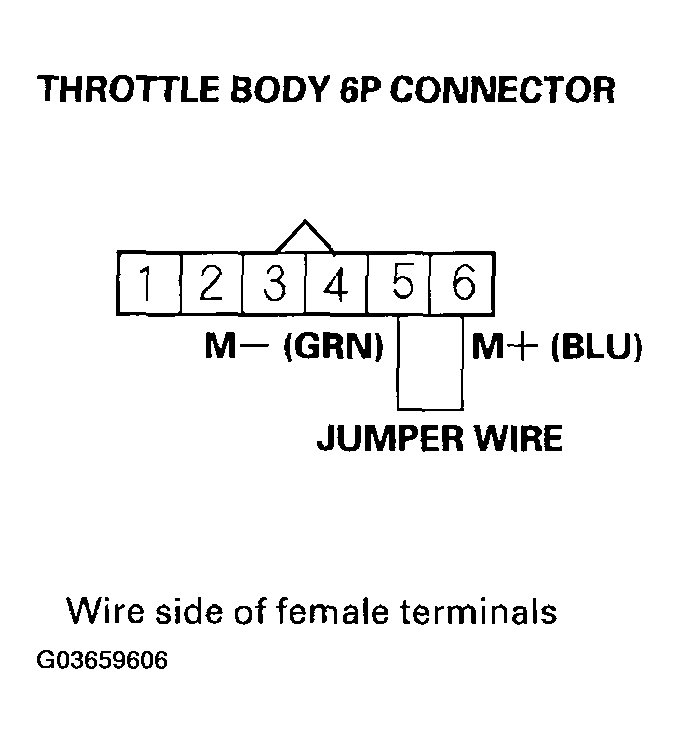 G03659606
