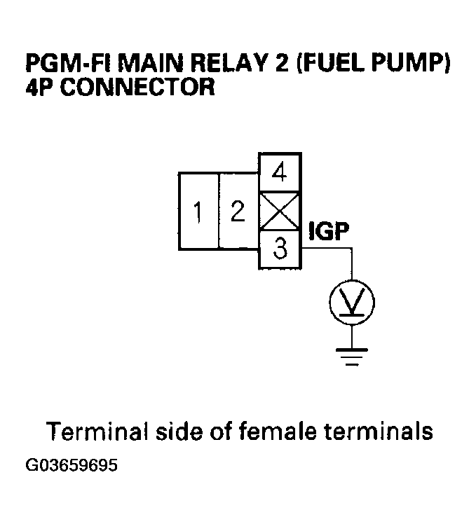 G03659695