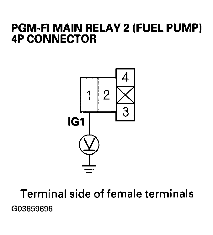 G03659696
