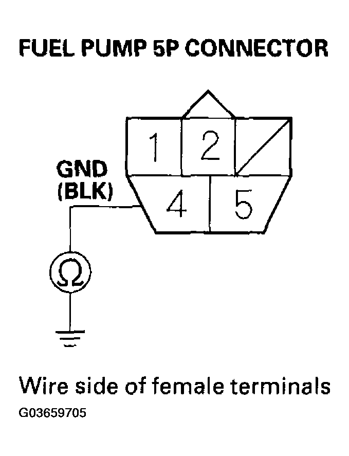 G03659705