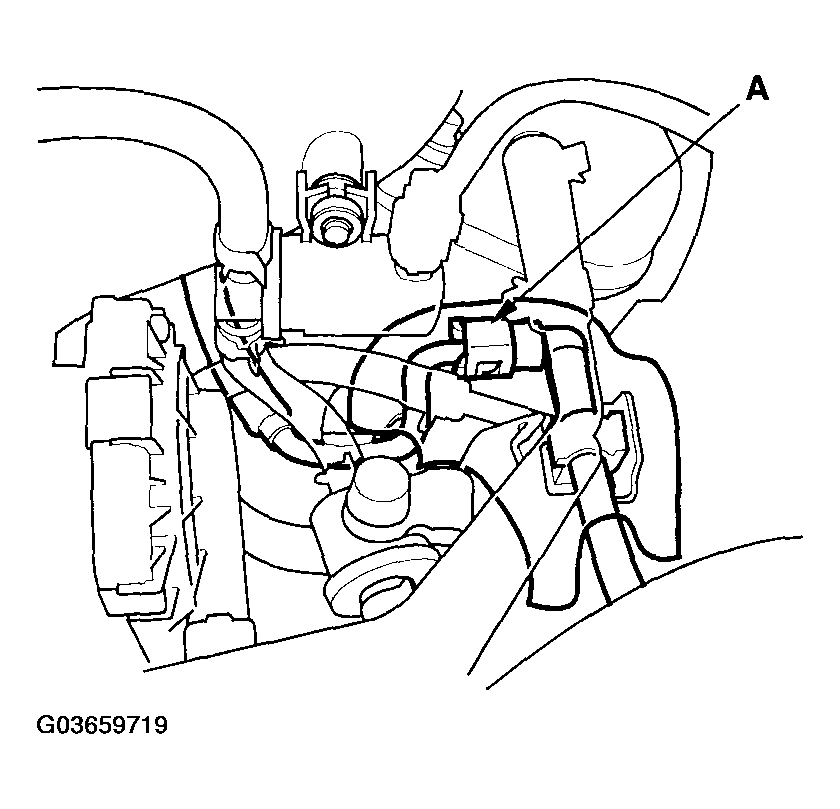 G03659719