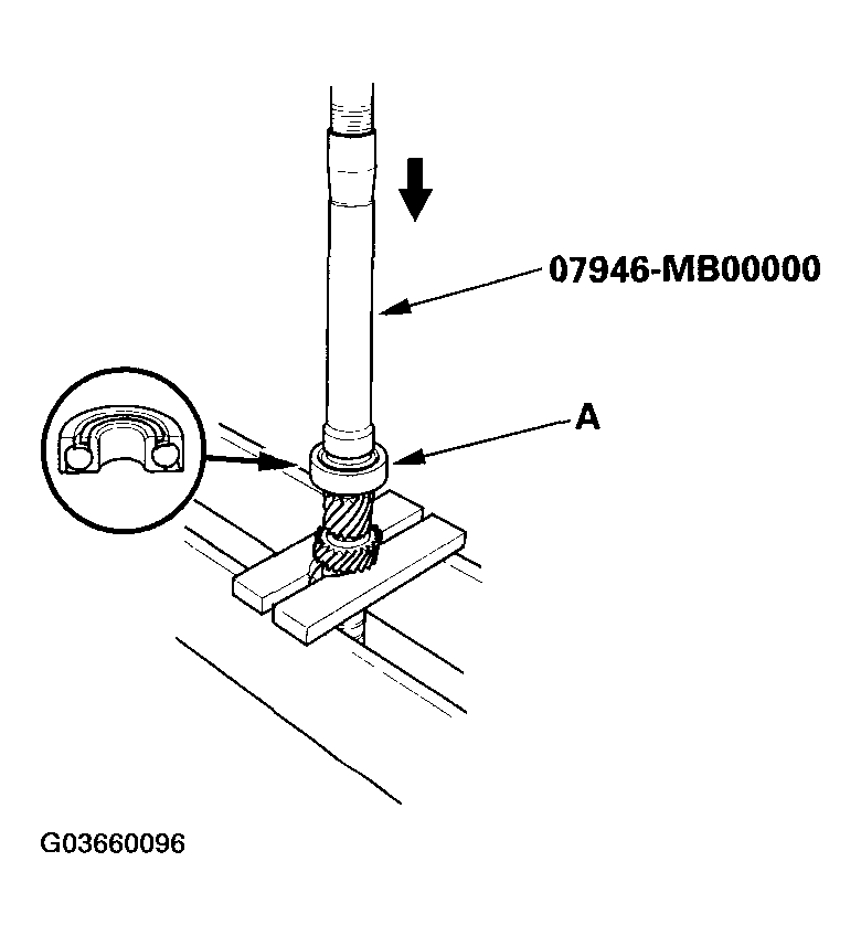 G03660096