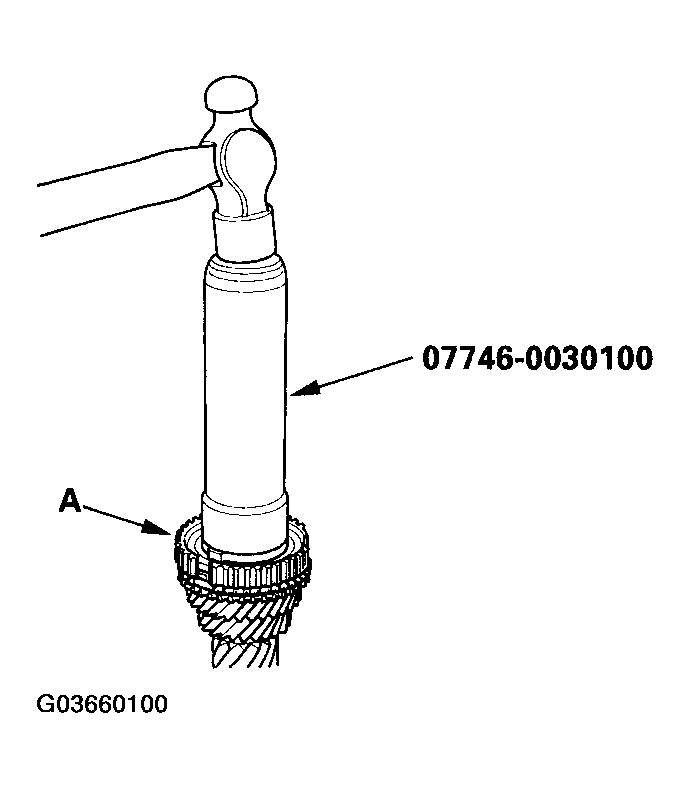 G03660100