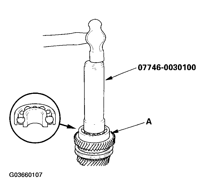 G03660107