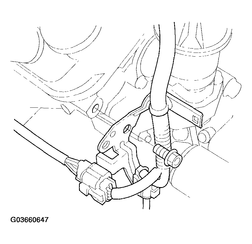 G03660647