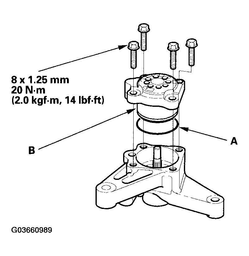 G03660989