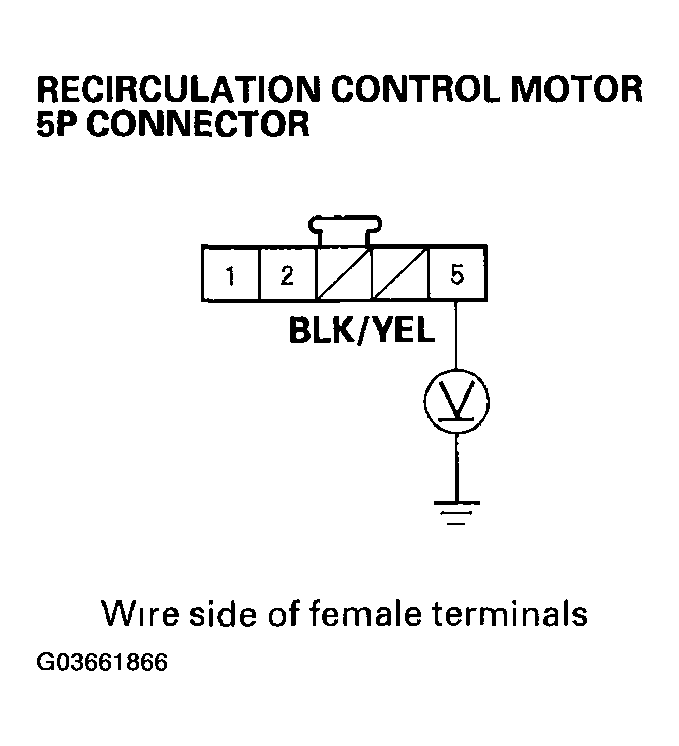 G03661866