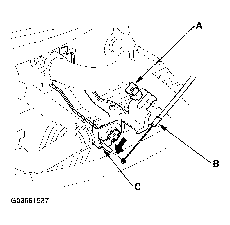 G03661937