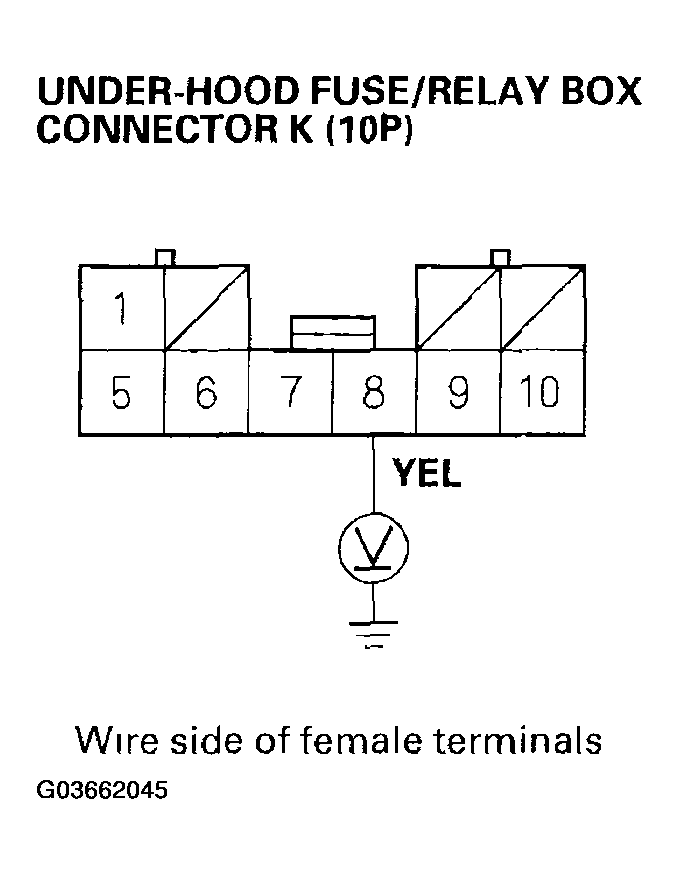 G03662045