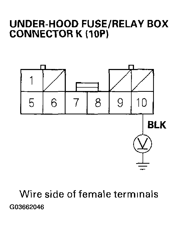 G03662046