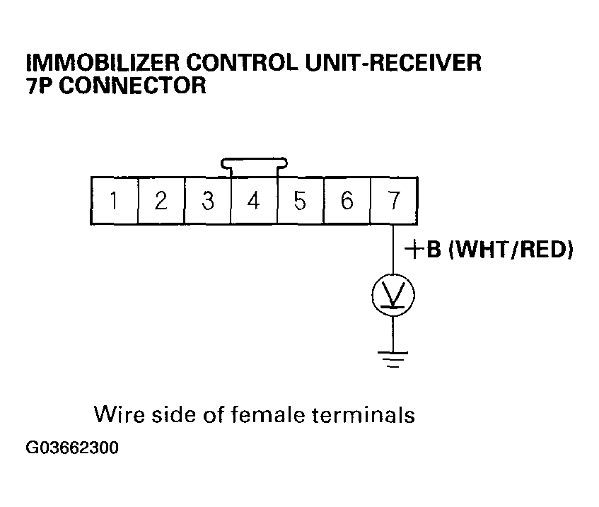G03662300