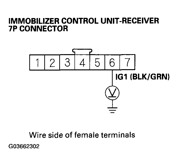 G03662302