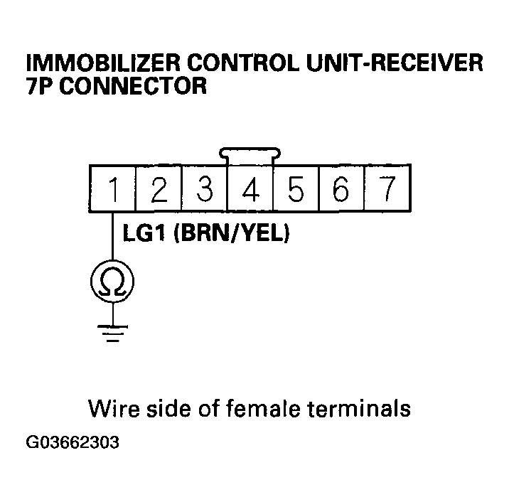 G03662303
