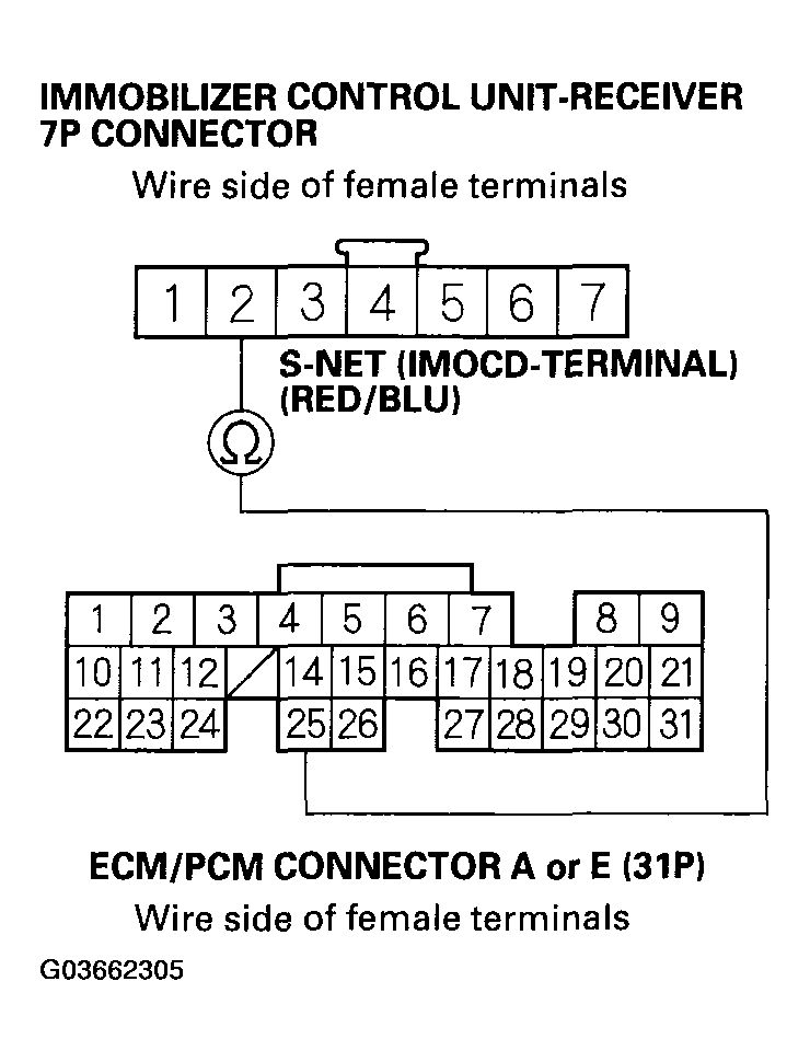 G03662305