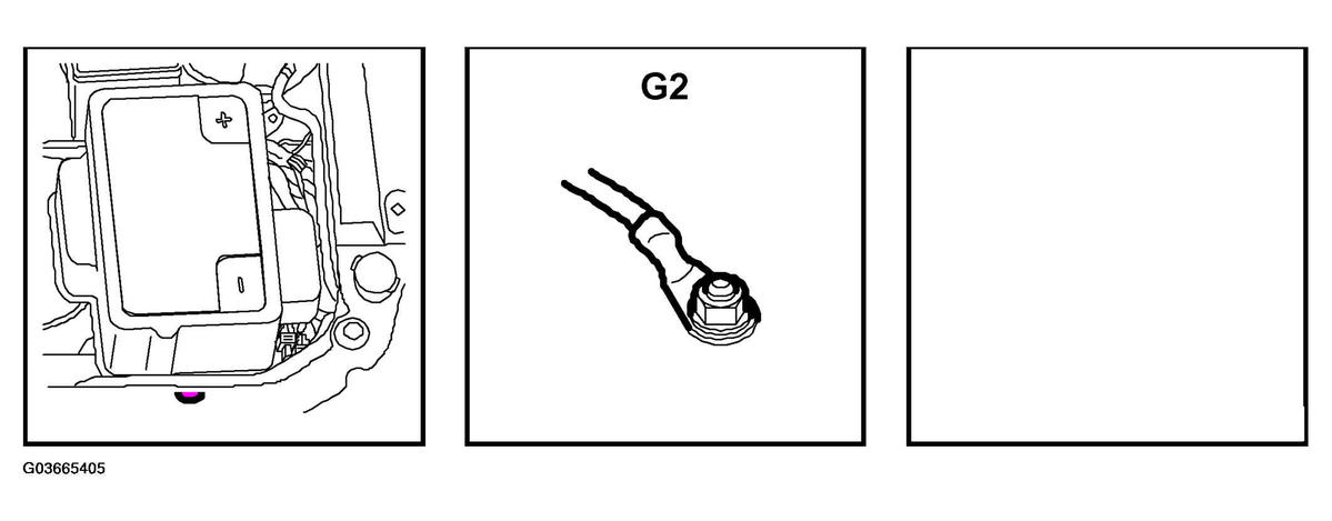 G03665405