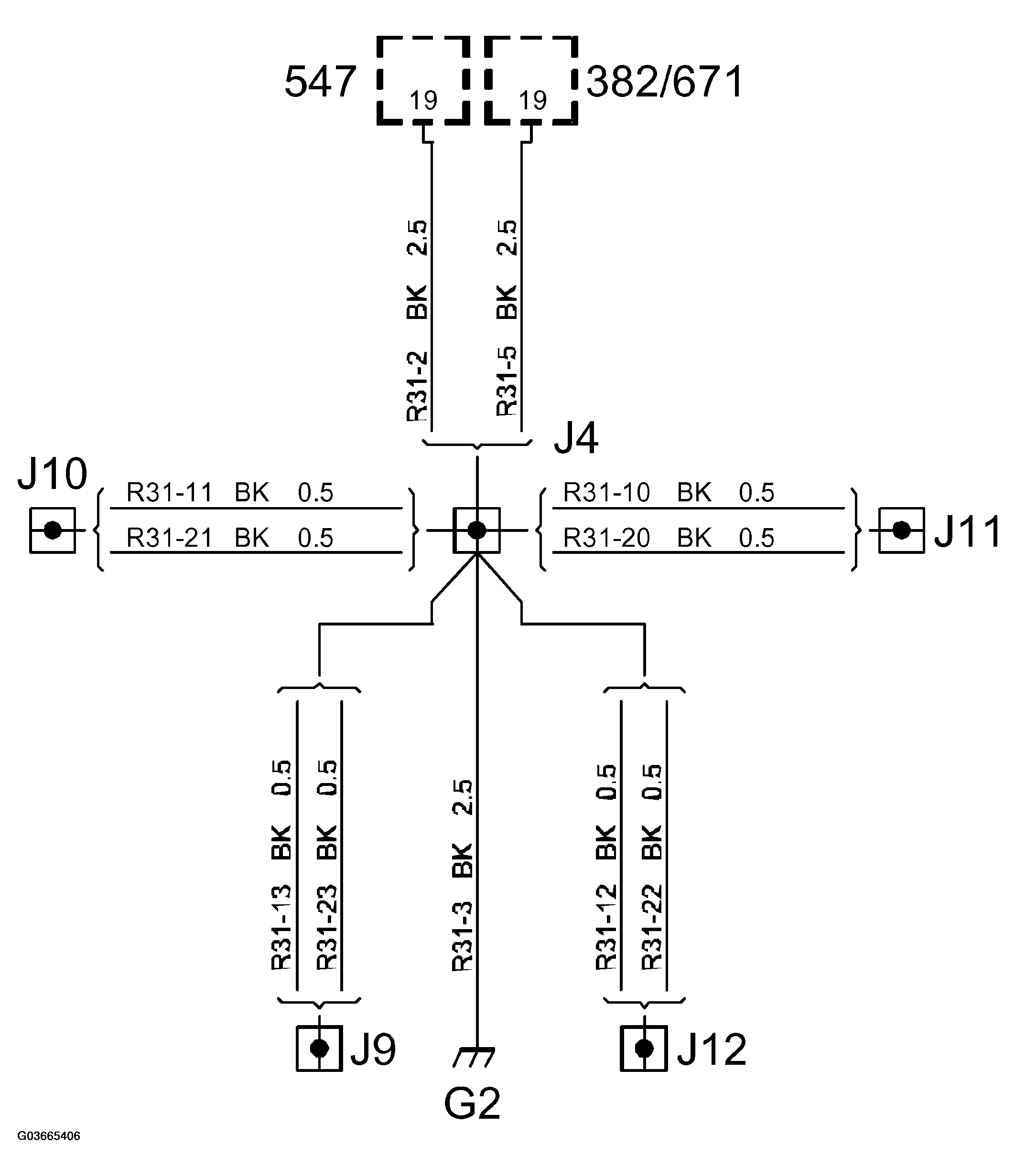 G03665406