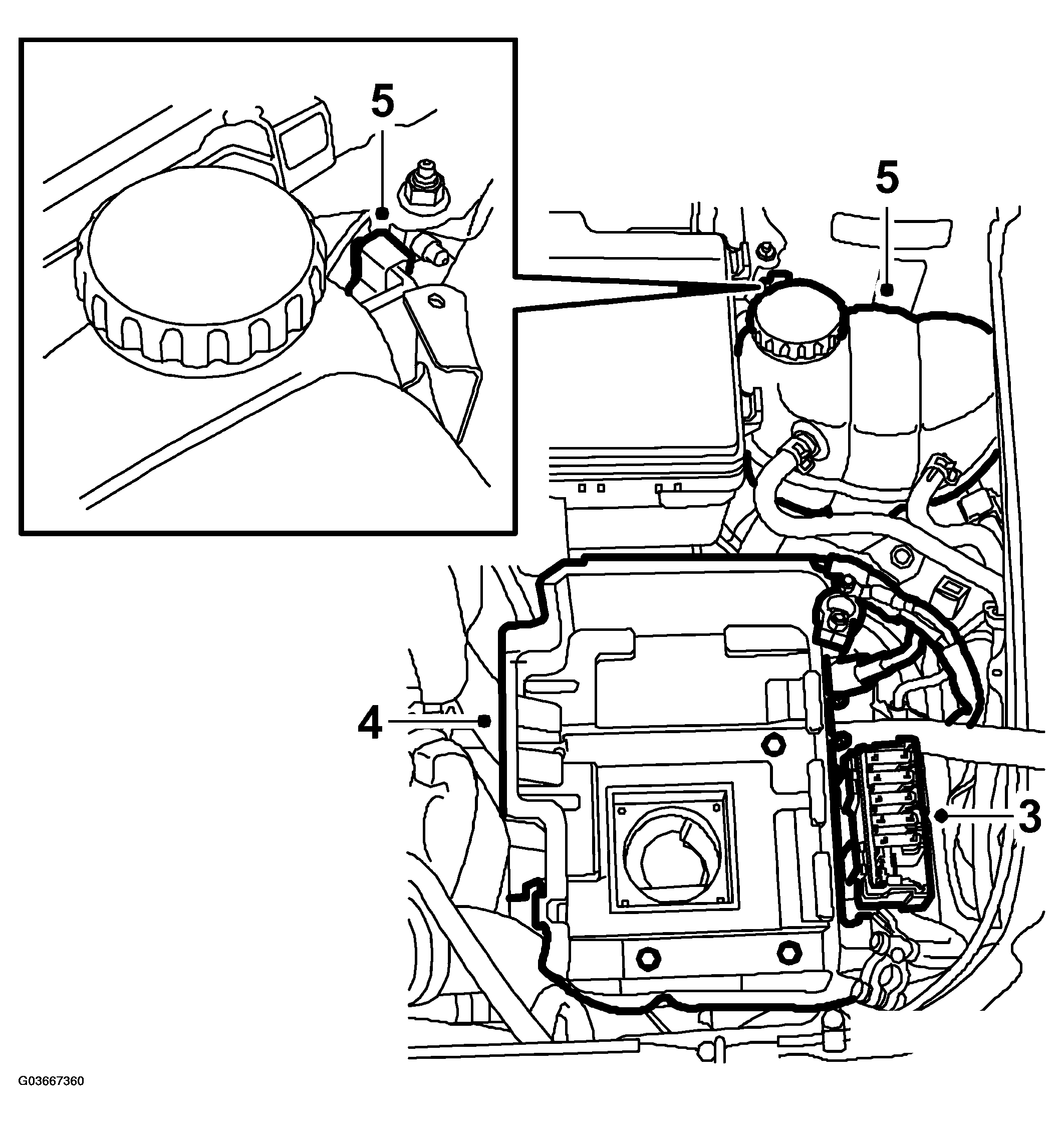 G03667360