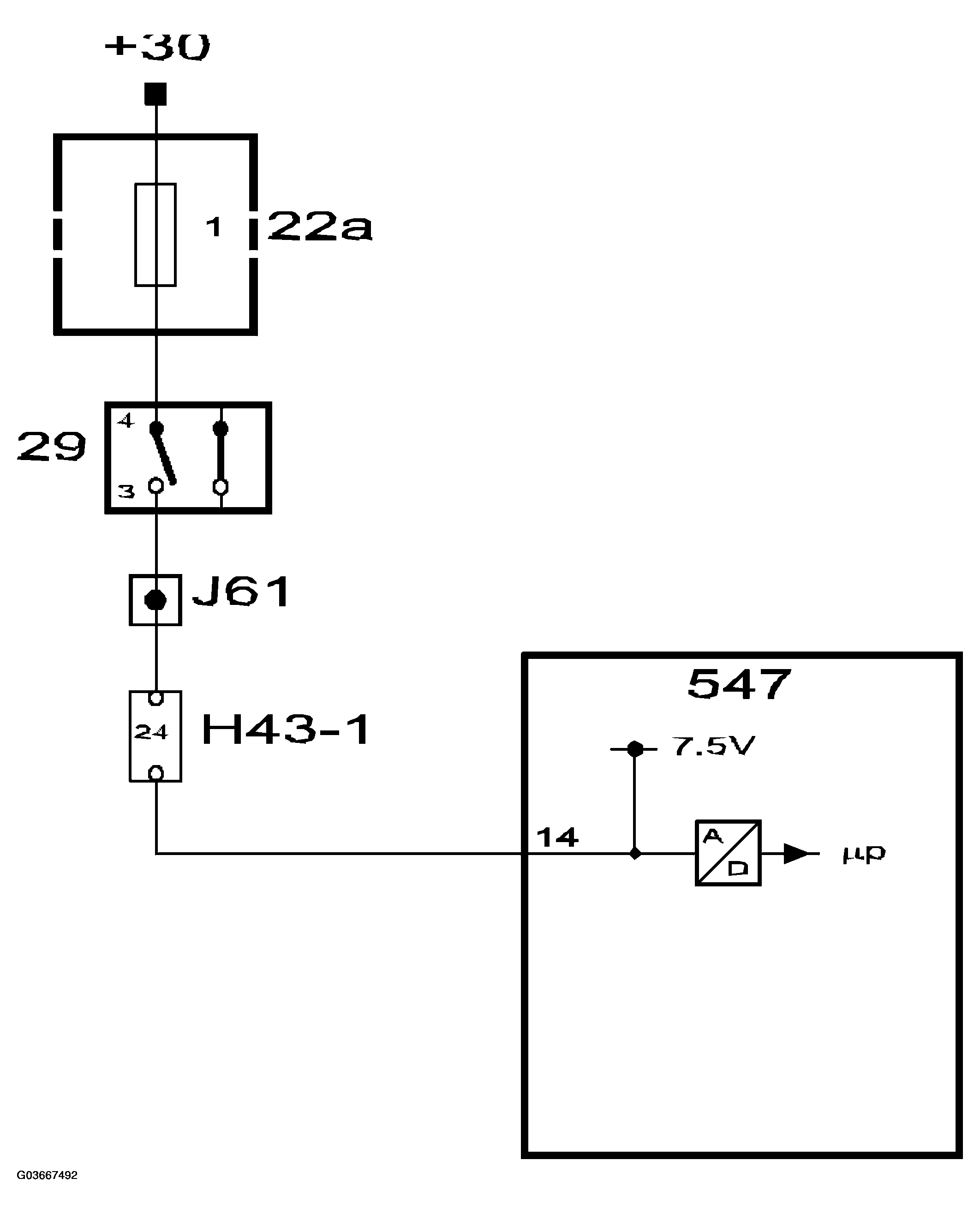 G03667492