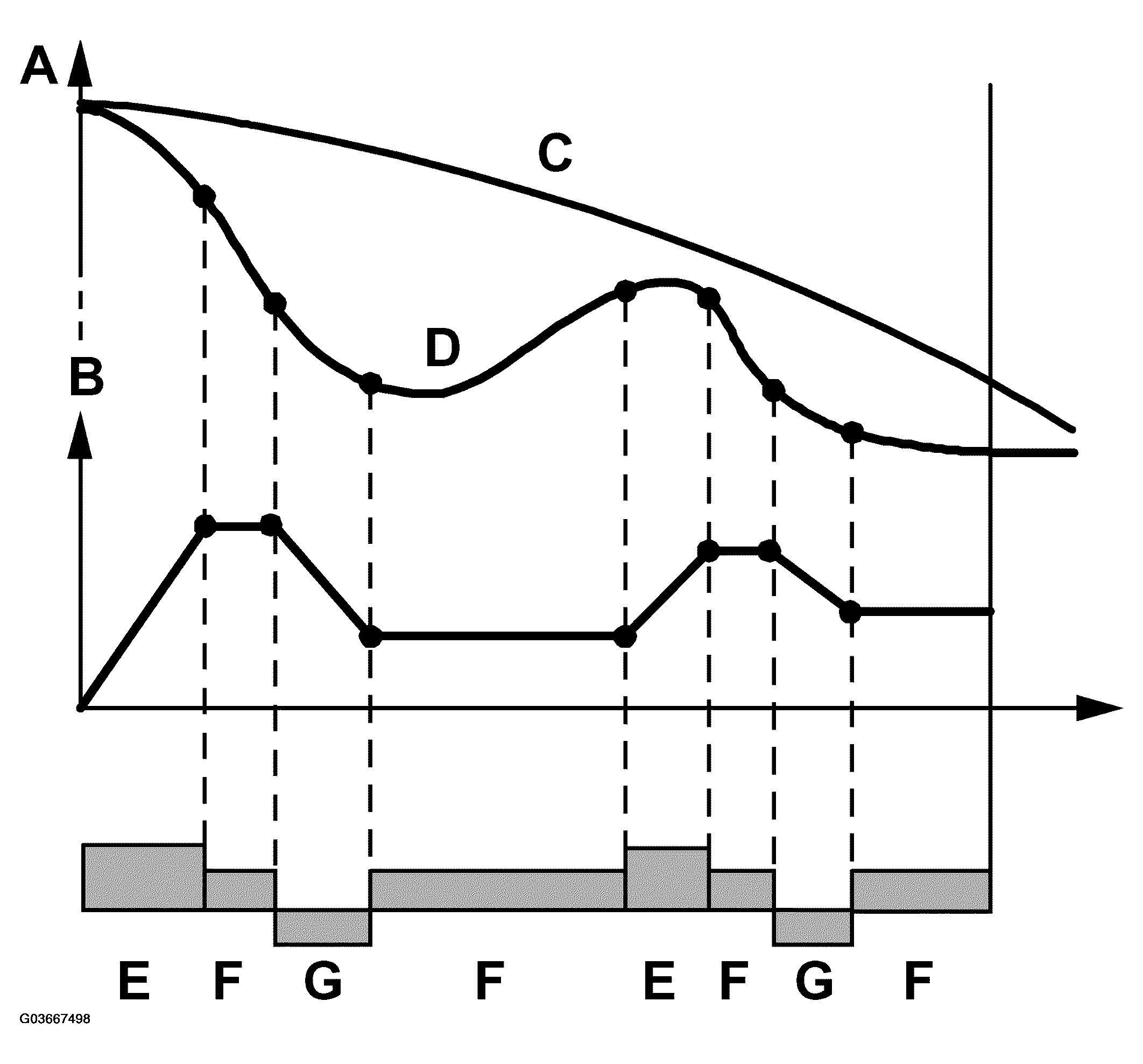G03667498
