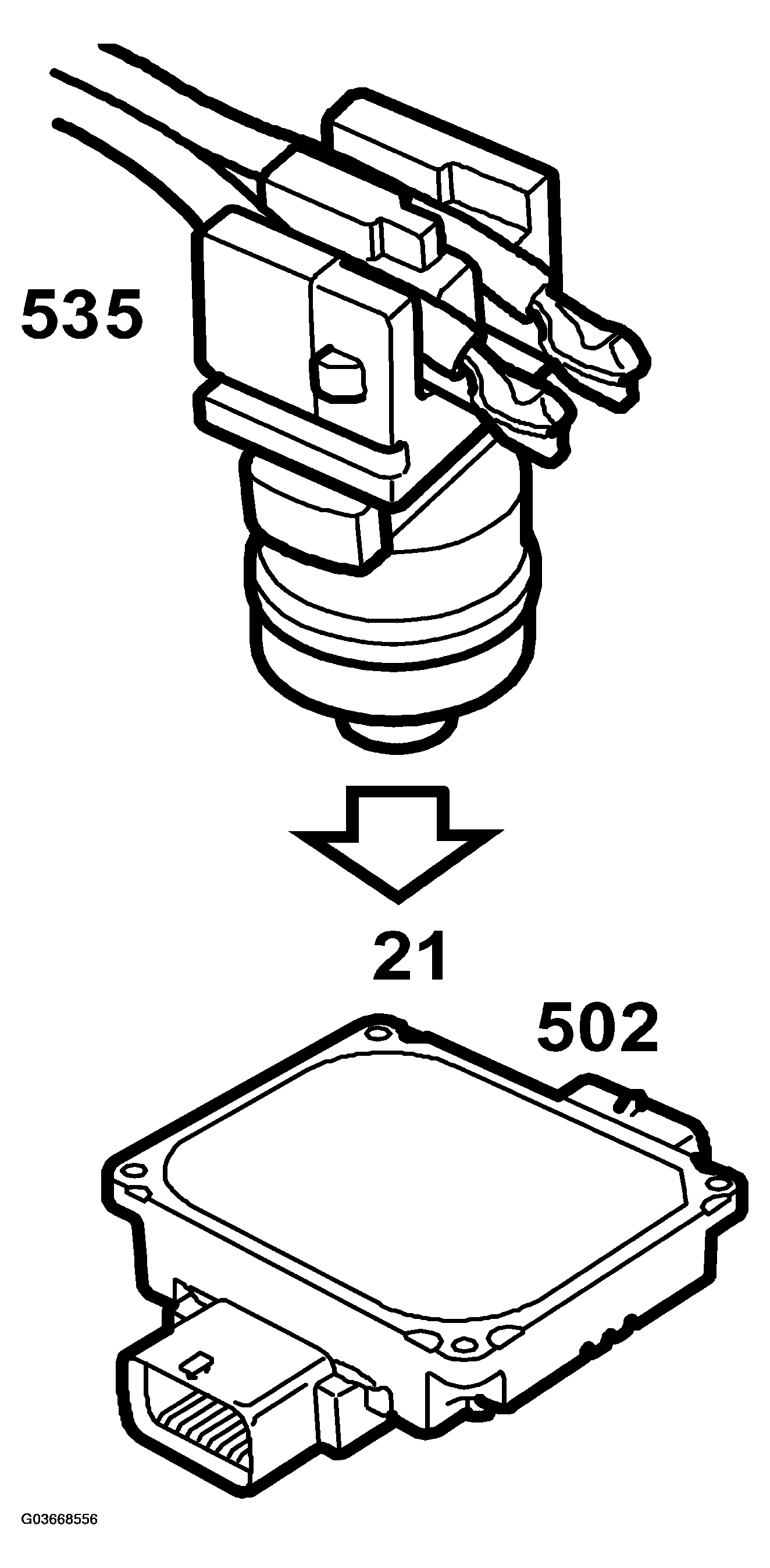 G03668556