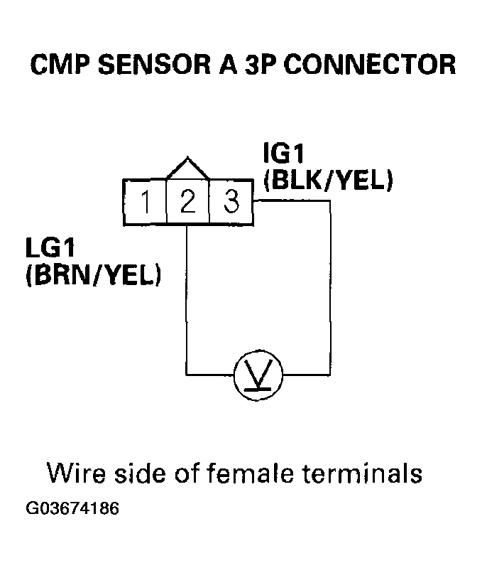 G03674186