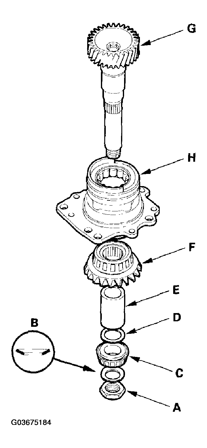 G03675184