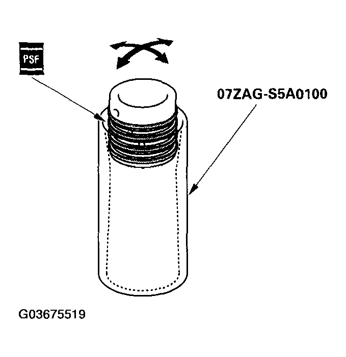 G03675519