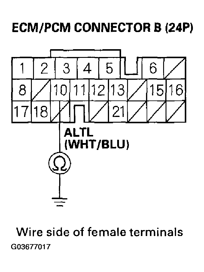 G03677017