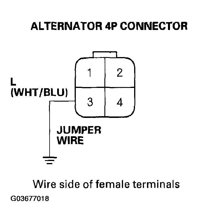 G03677018