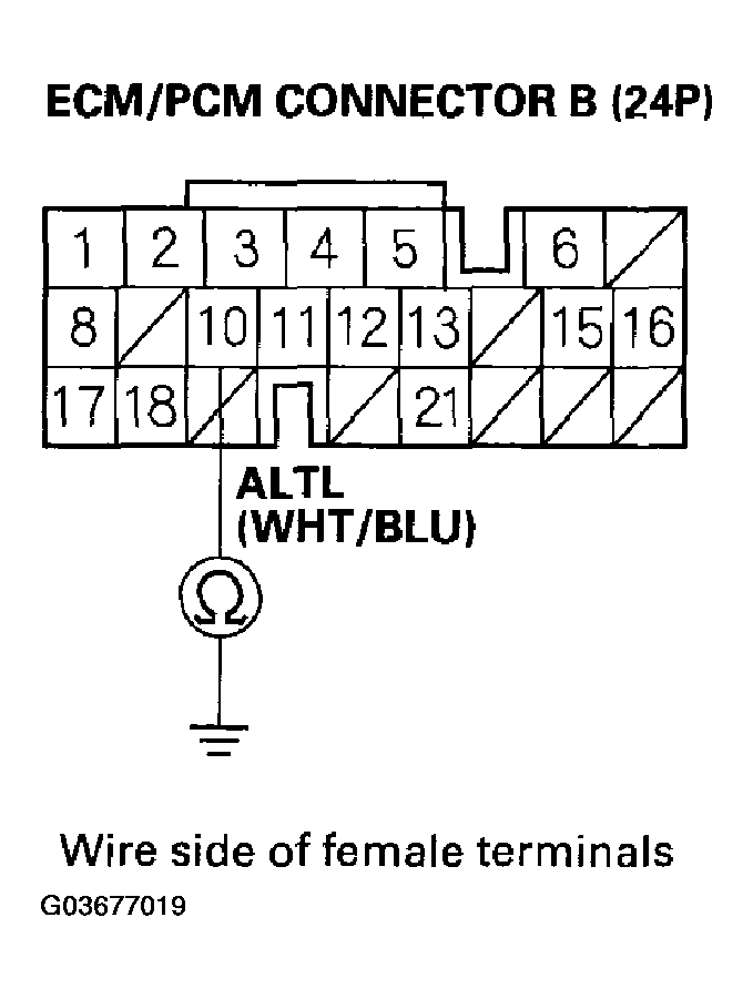 G03677019