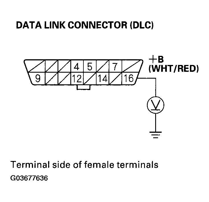 G03677636