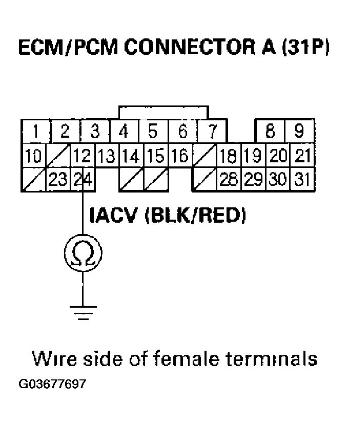 G03677697