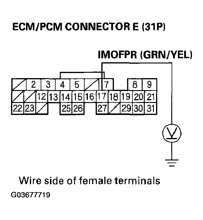 G03677719