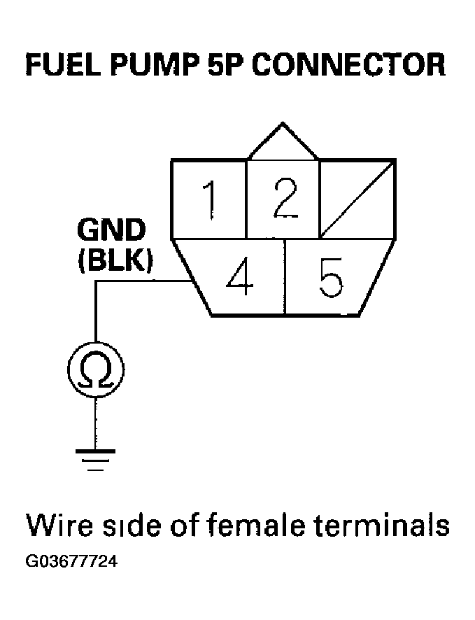 G03677724