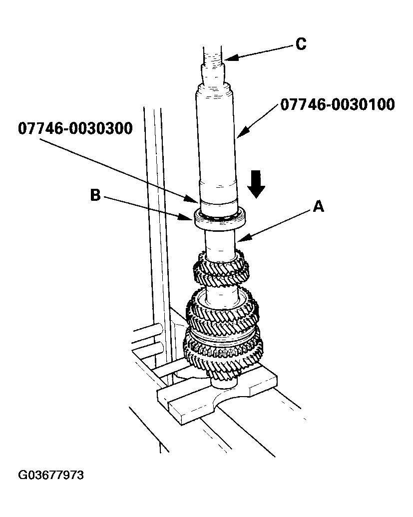 G03677973