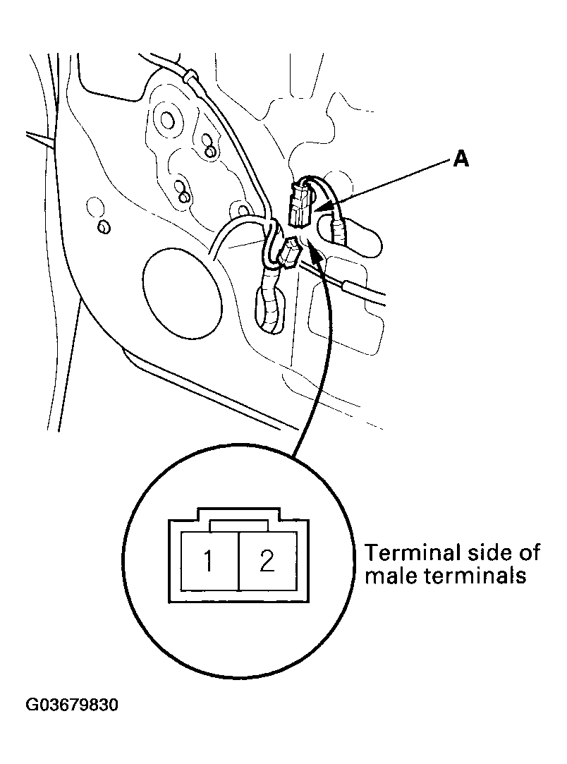 G03679830
