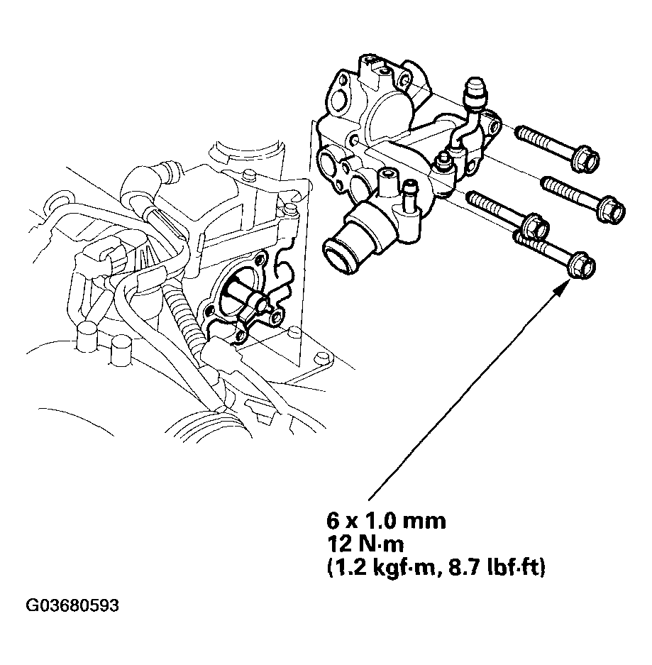 G03680593