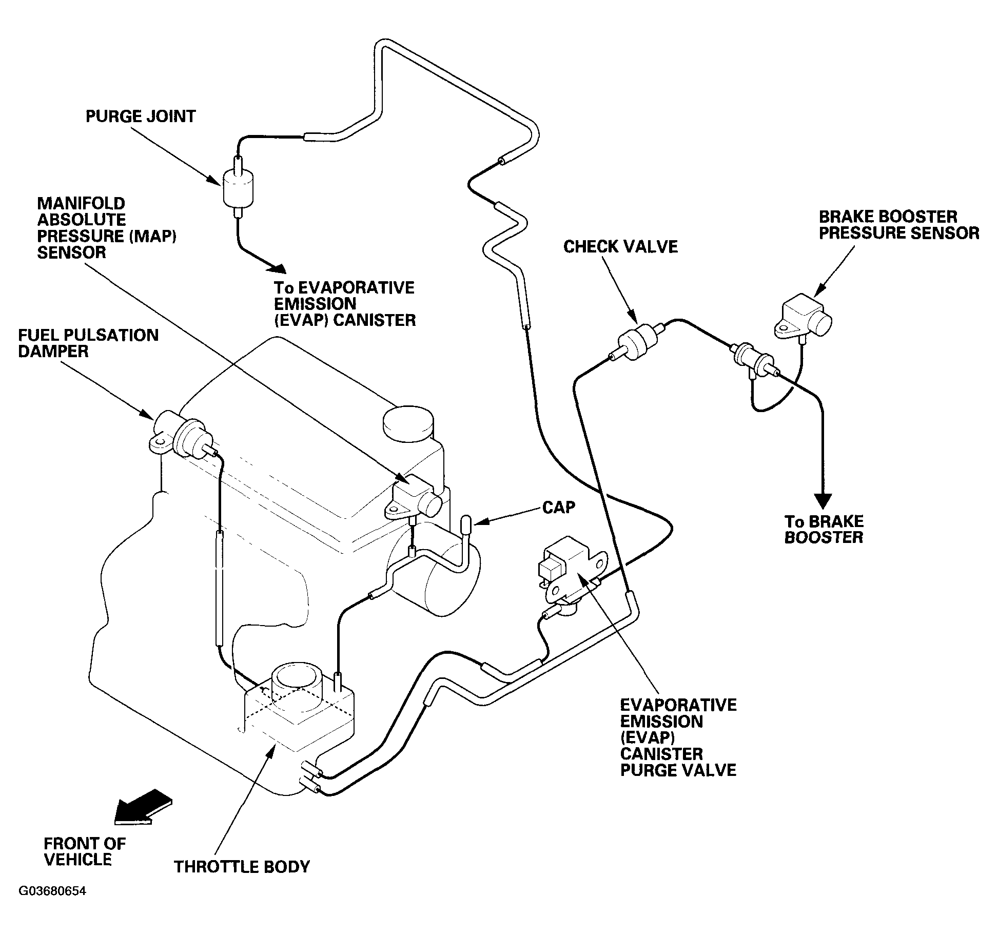 G03680654