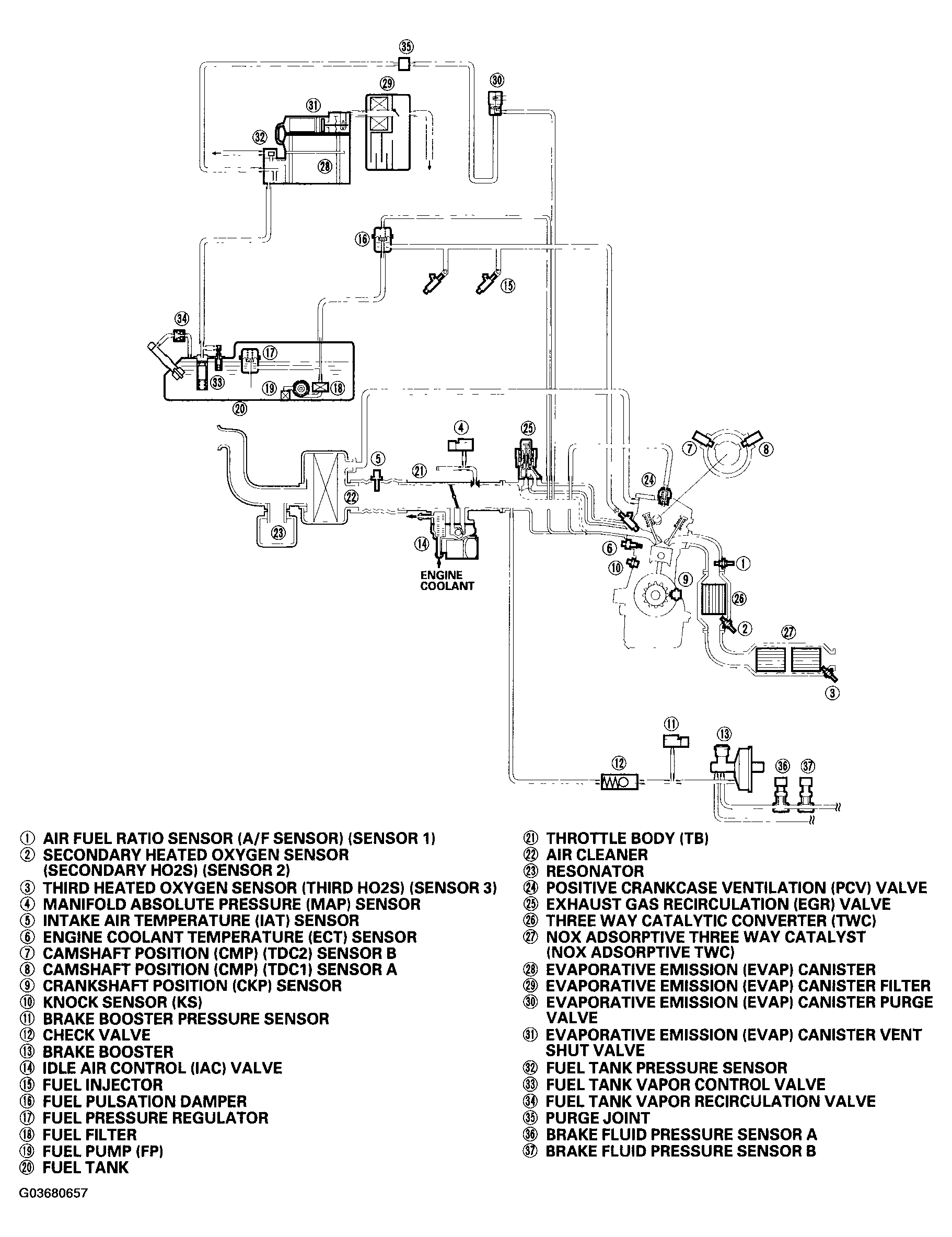 G03680657