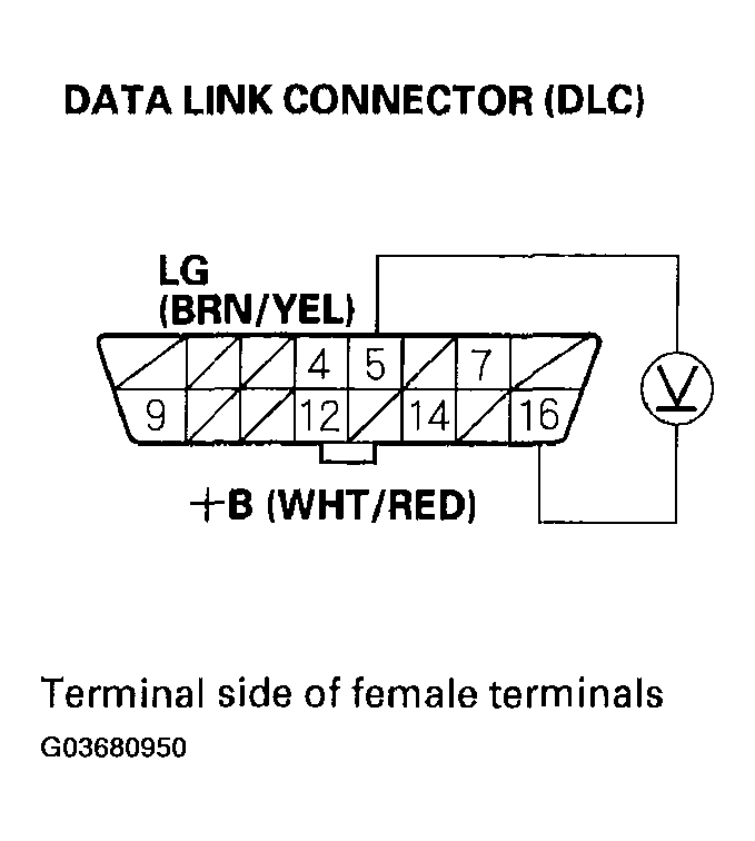 G03680950