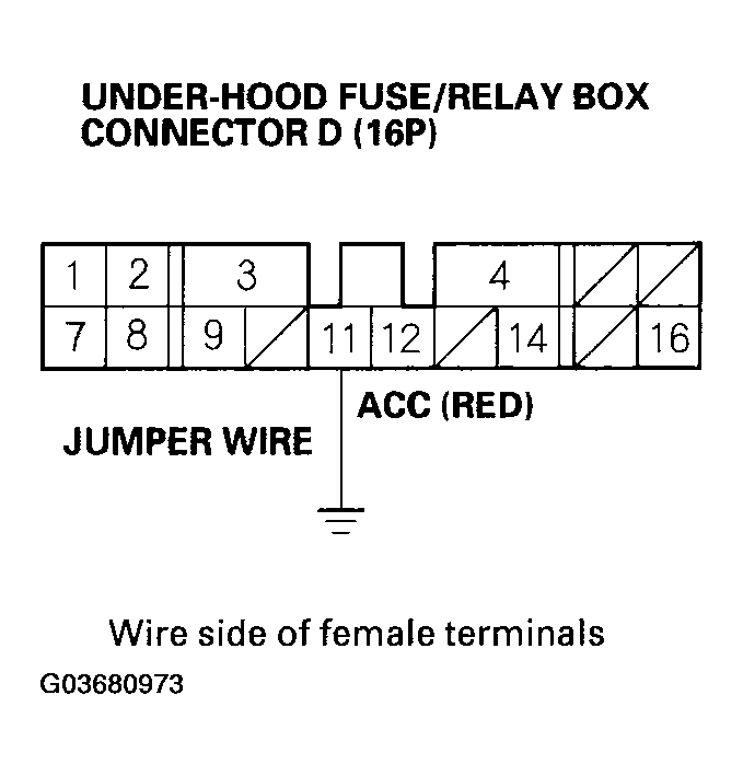 G03680973